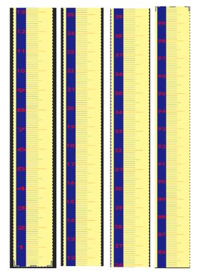 精准刻度表0-100厘米