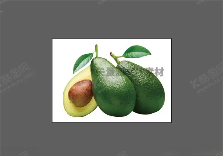 编号：31352005060509579745【酷图网】源文件下载-牛油果乳木果矢量
