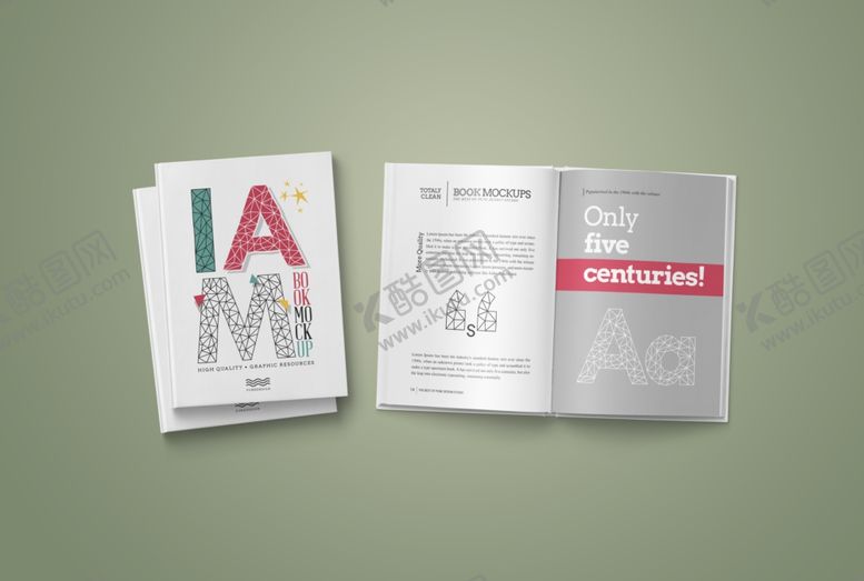 编号：53295009280055057429【酷图网】源文件下载-书籍样机