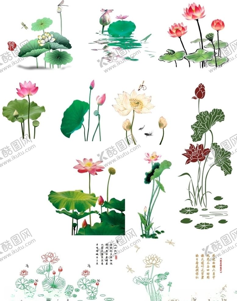 编号：29526907060231549577【酷图网】源文件下载-荷花