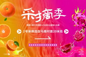 缤纷采摘季开启新鲜之旅