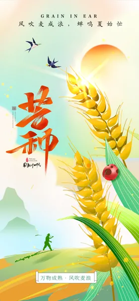 芒种海报