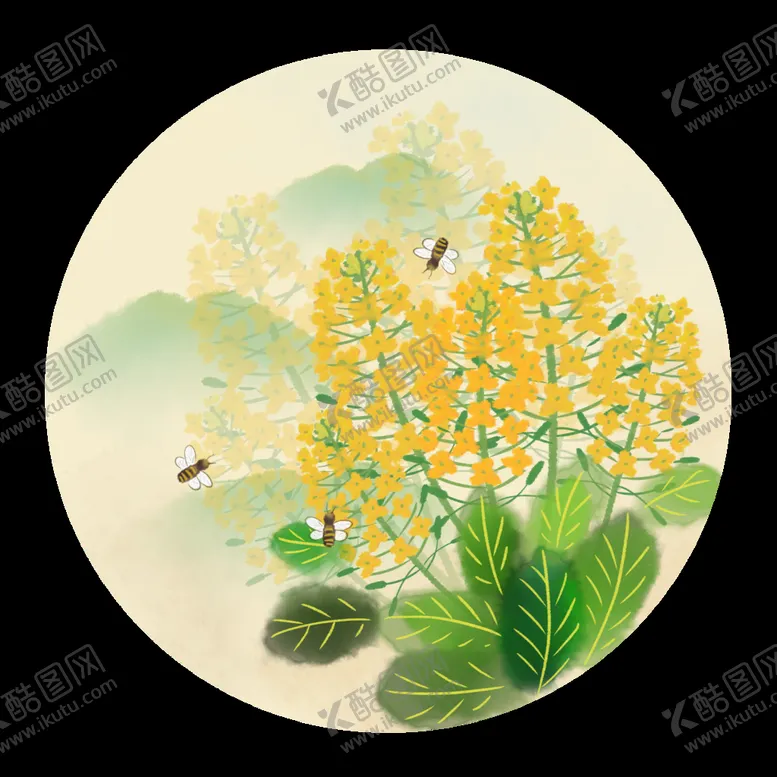编号：17083609240639509130【酷图网】源文件下载-油菜花