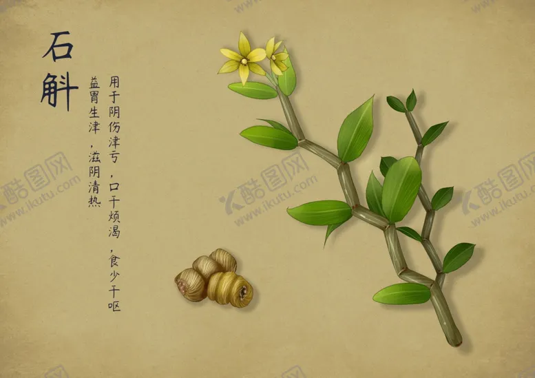 编号：48484702132256137996【酷图网】源文件下载-药材图谱