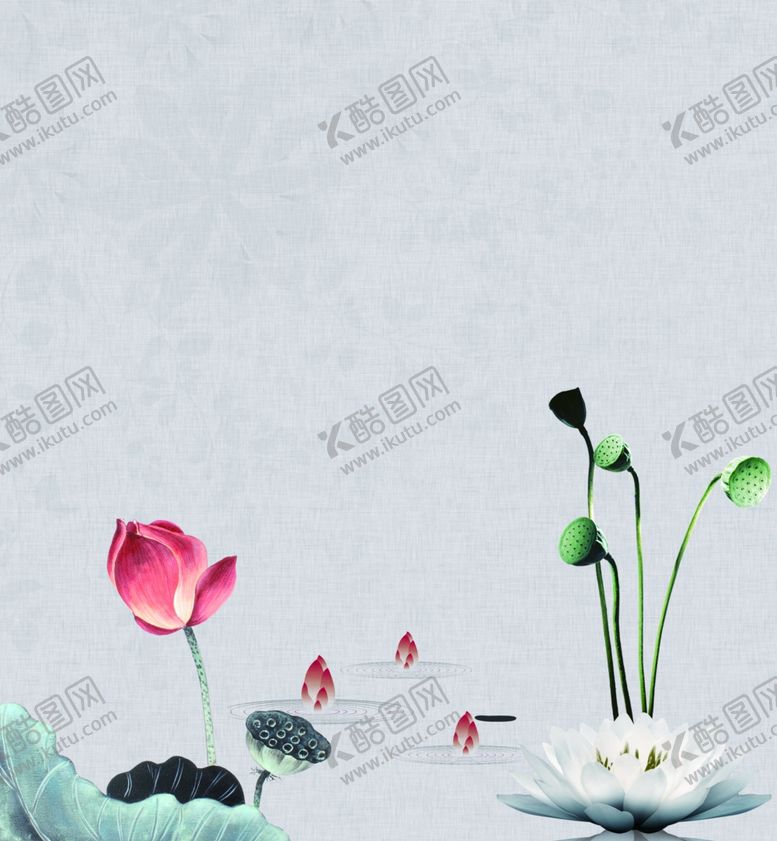 编号：19320906271114207416【酷图网】源文件下载-荷花