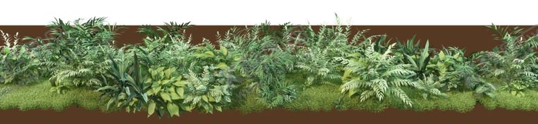 编号：86913412092217126363【酷图网】源文件下载-绿色植物草丛景观PSD素材