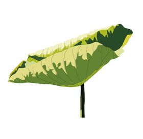 水墨风荷花图片