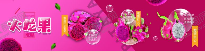 编号：96462904211209052596【酷图网】源文件下载-火龙果
