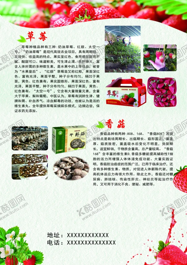 编号：27273104220255356381【酷图网】源文件下载-草莓采摘彩页