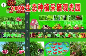 生态种植采摘观光园绿色水果蔬菜