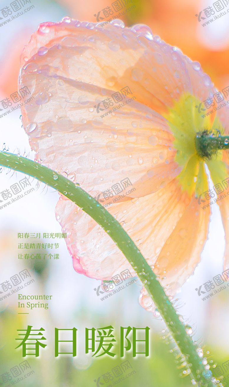 编号：15926309290508316498【酷图网】源文件下载-春海报