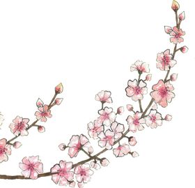 梅花桃花PNG海报背景清新腊卉