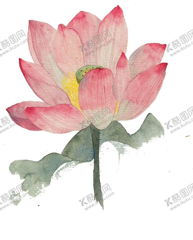 编号：87461604211509238110【酷图网】源文件下载-水墨荷花粉色荷花荷花意境