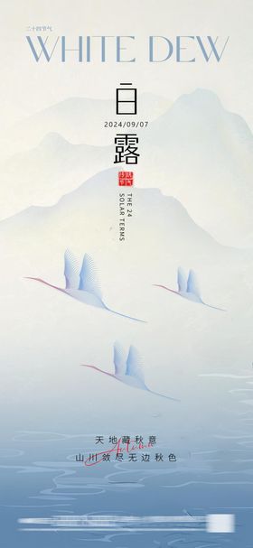 白露简约海报