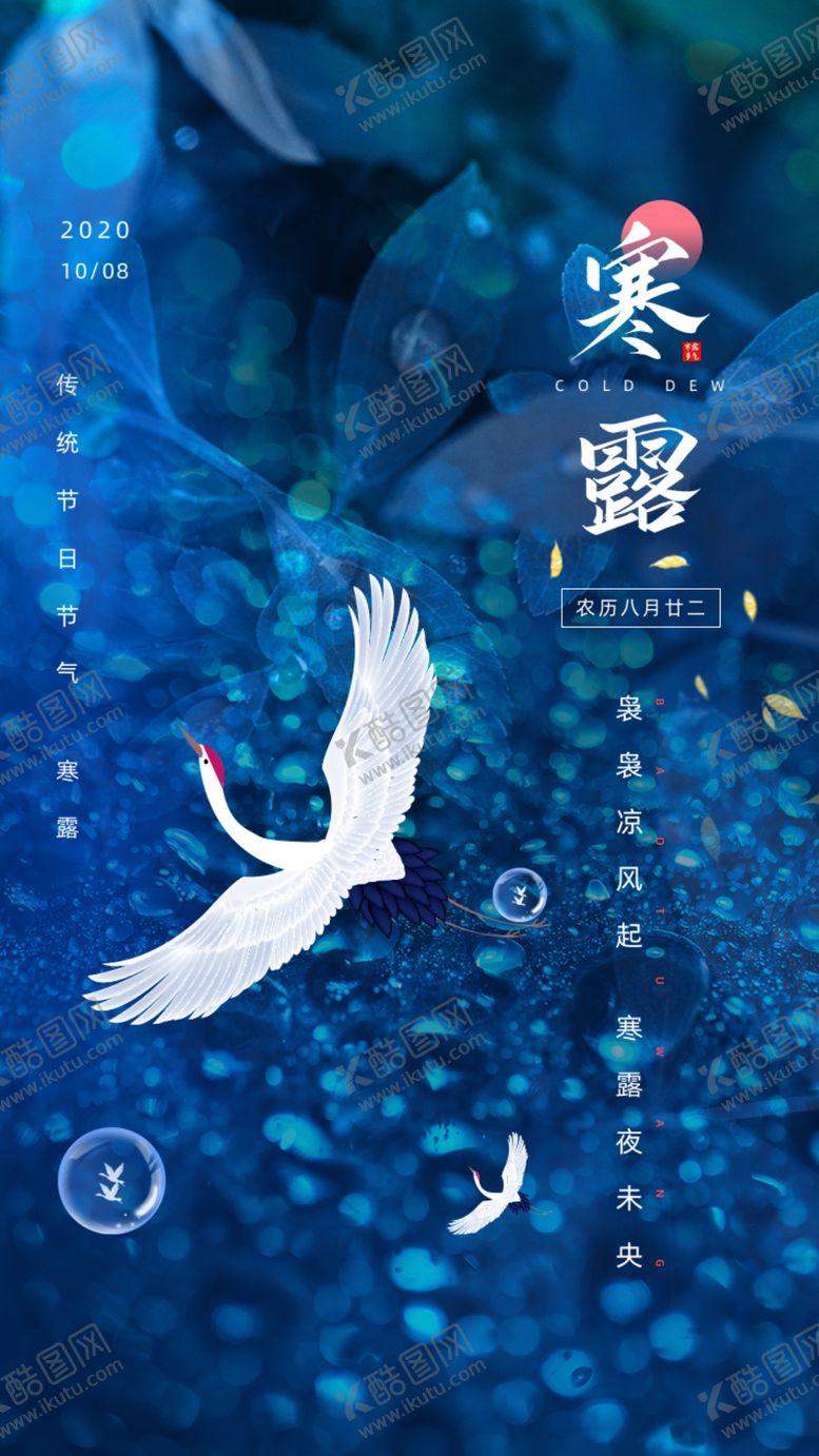 编号：27456706240150488208【酷图网】源文件下载-简约创意传统节日节气寒露手机
