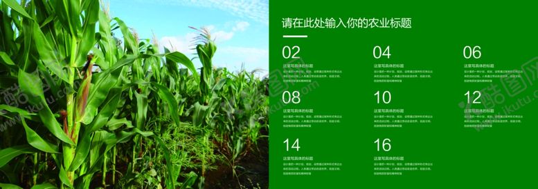 编号：90252001050334098269【酷图网】源文件下载-农产品画册宣传册