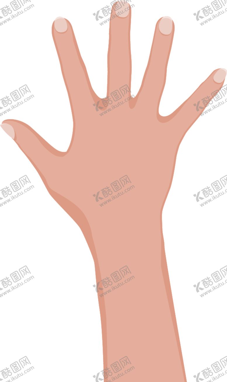 编号：40326203250720039505【酷图网】源文件下载-手背