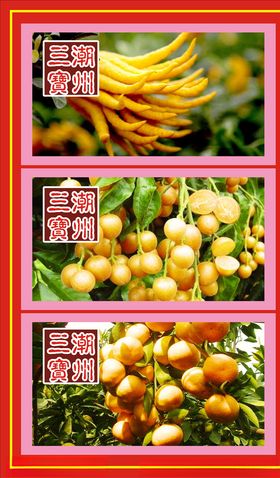 潮州三宝