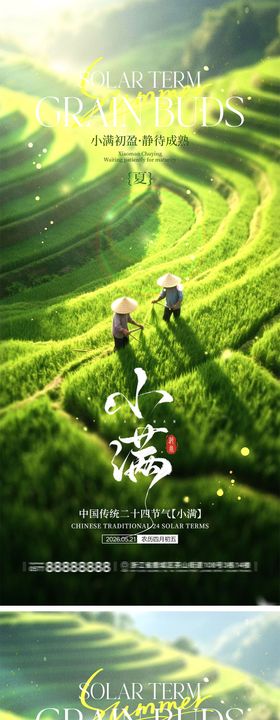 小满节气宣传海报