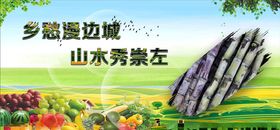崇左太平古城