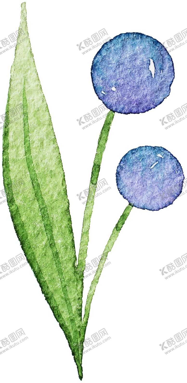 编号：39109309212232168954【酷图网】源文件下载-手绘植物