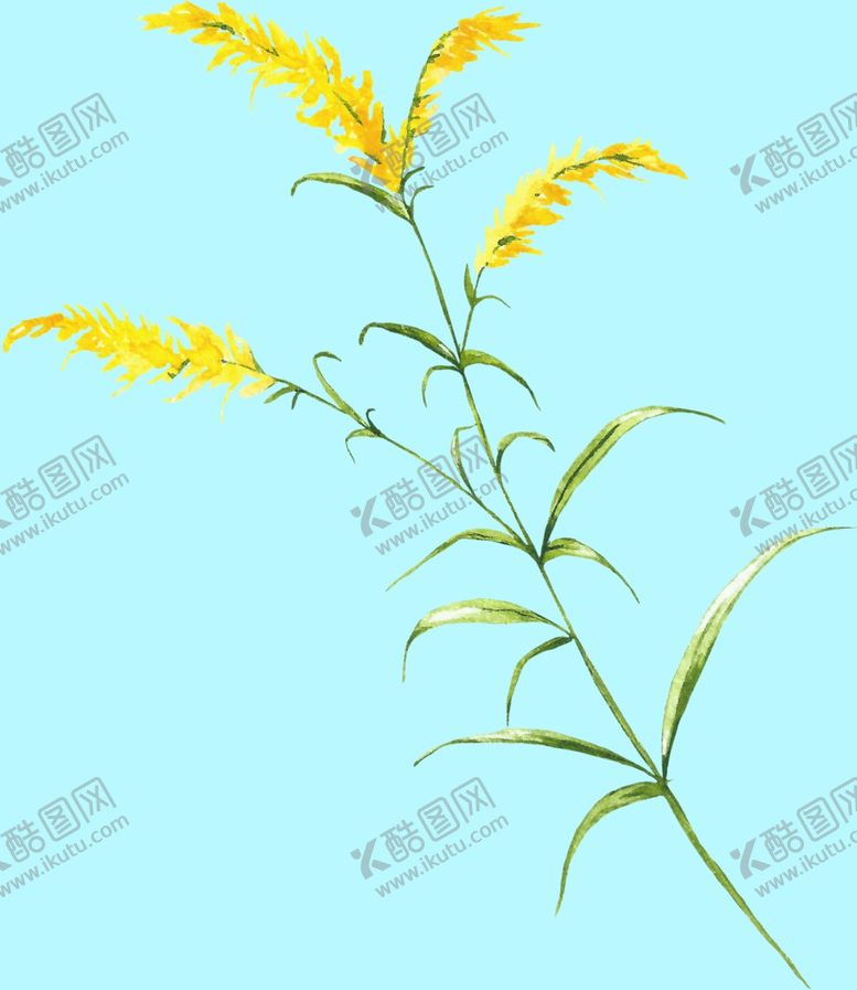 编号：34737806250558406351【酷图网】源文件下载-花卉树叶