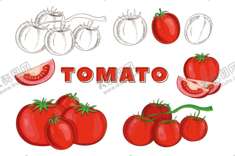 编号：55709609251242269266【酷图网】源文件下载-矢量蔬菜