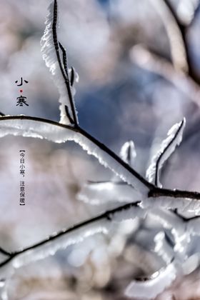 小寒新年雪景地产微信大转发图