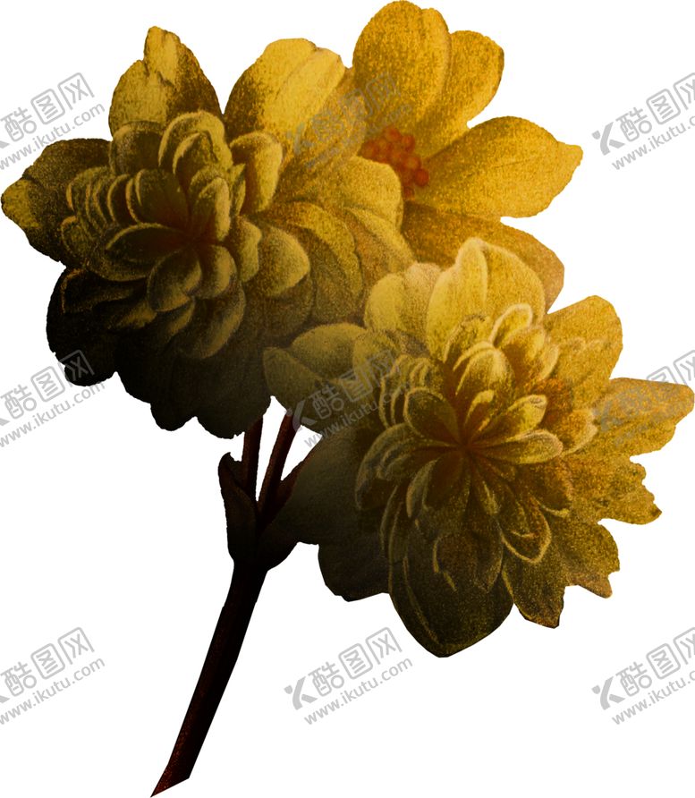 编号：57666509130324045958【酷图网】源文件下载-暗黑风植物花朵