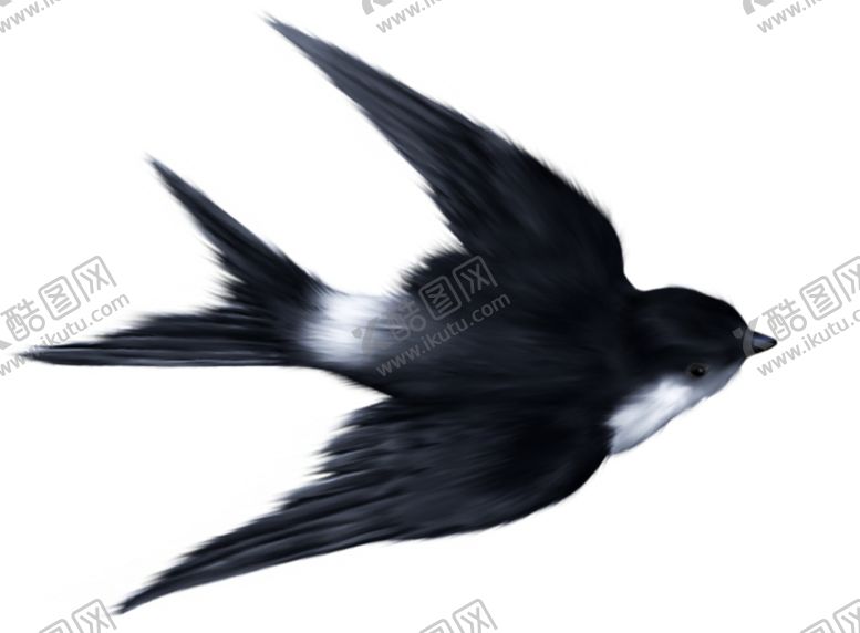 编号：80007210041753501760【酷图网】源文件下载-燕子素材