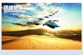 企业楼道展板文化文化墙绘走廊励志文化墙