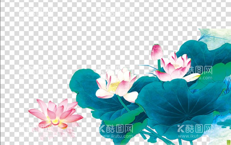 编号：69083210072348069415【酷图网】源文件下载-荷花 莲花 