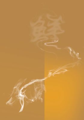 烟雾鲜