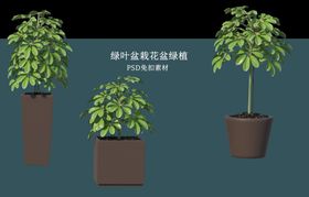 编号：71620909270602536704【酷图网】源文件下载-盆栽花盆绿植PSD免扣素材