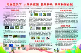 保护鸟类展板PSD分层