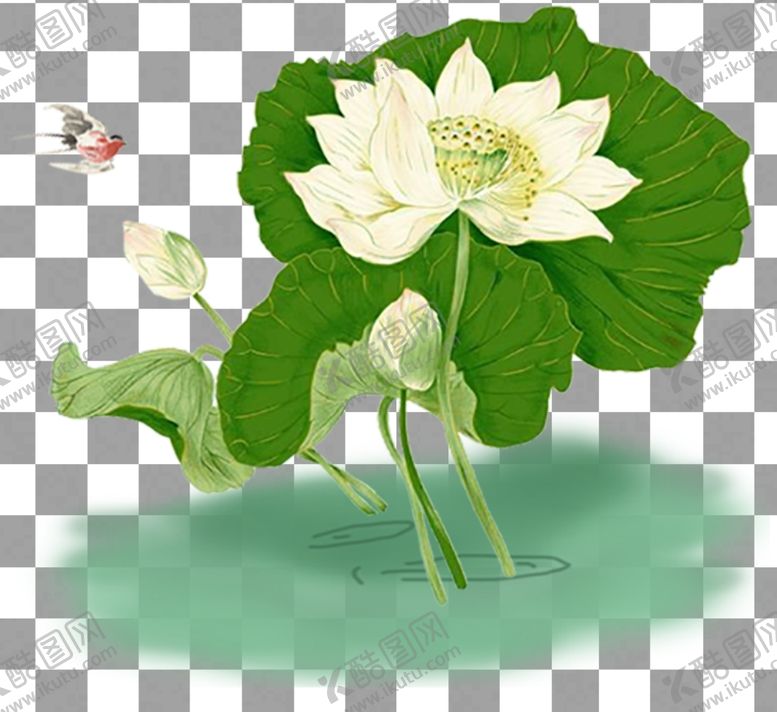 编号：84668604301831471006【酷图网】源文件下载-手绘荷花