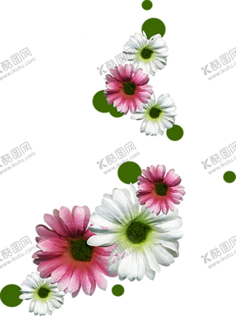 编号：97402305140050188146【酷图网】源文件下载-鲜花素材
