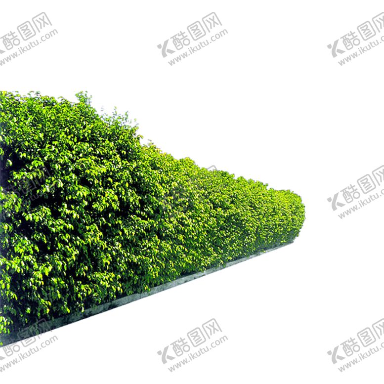 编号：40657910270717325921【酷图网】源文件下载-绿色植物