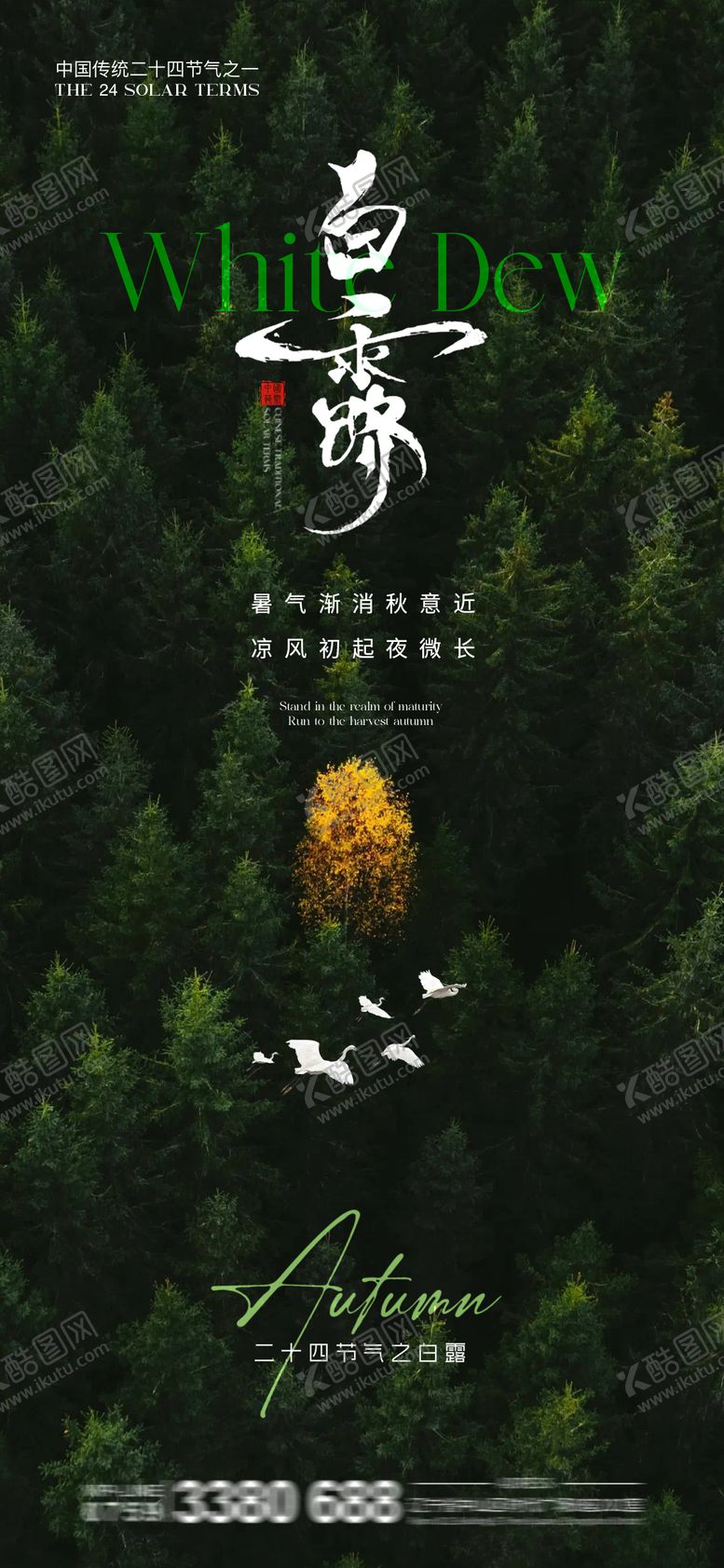 编号：69088009051404375434【酷图网】源文件下载-白露海报