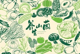 蔬菜山菌插画宣传展板