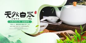 白茶
