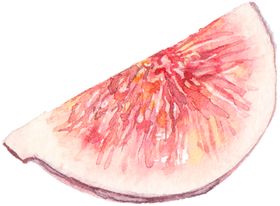 花卉