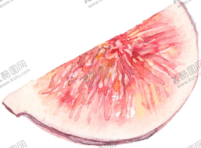 编号：73948409241622527625【酷图网】源文件下载-花卉