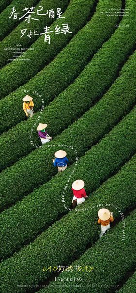 五一劳动节春茶海报