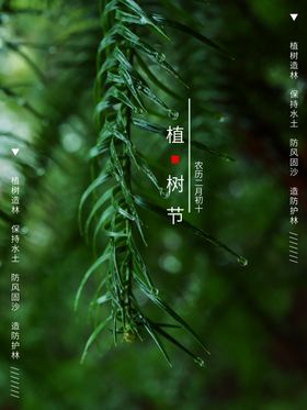 植树节促销惠展架