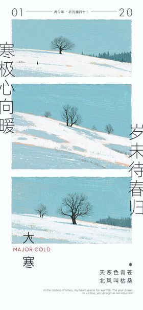大寒快乐节日海报