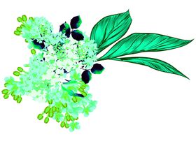 花素材小清新朵鲜朵朵底纹