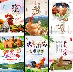 农家散养土鸡宣传海报