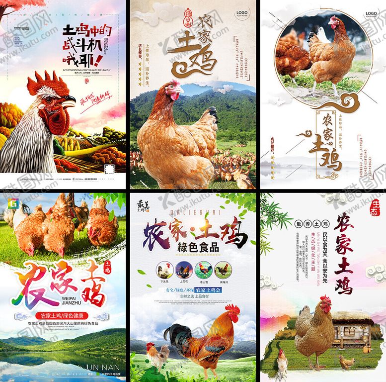 编号：20843504042158294885【酷图网】源文件下载-农家散养土鸡宣传海报