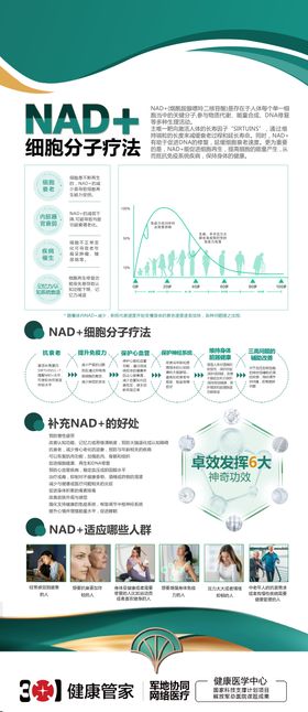 NAD 项目易拉宝